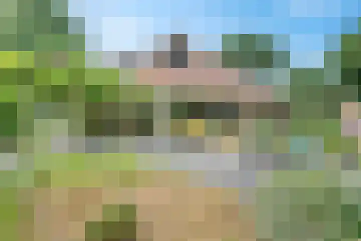 de Braambrink 7 Paasloo thumbnail 45