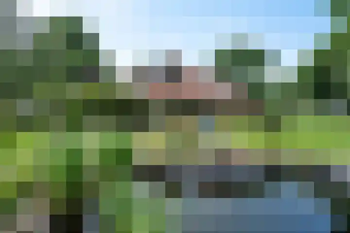 de Braambrink 7 Paasloo thumbnail 46