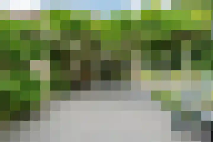 de Braambrink 7 Paasloo thumbnail 47
