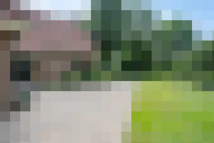 de Braambrink 7 Paasloo thumbnail 52