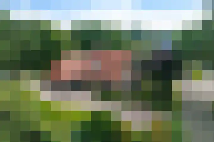 de Braambrink 7 Paasloo thumbnail 53