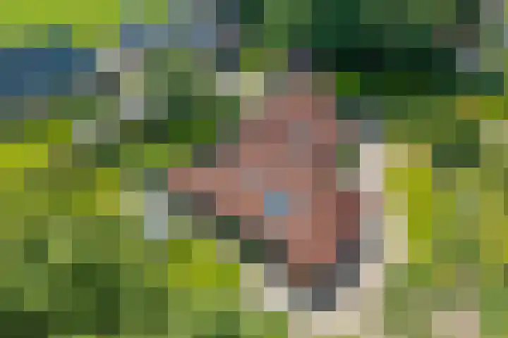 de Braambrink 7 Paasloo thumbnail 59