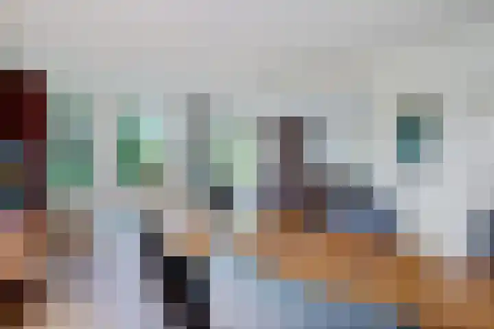 de Braambrink 7 Paasloo thumbnail 6