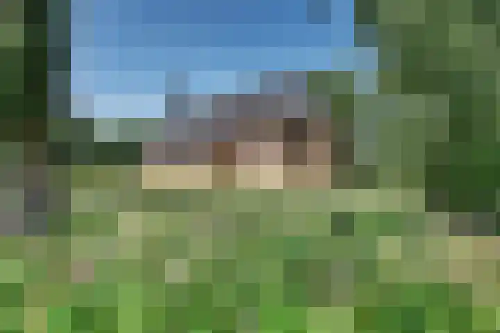 de Braambrink 7 Paasloo thumbnail 61