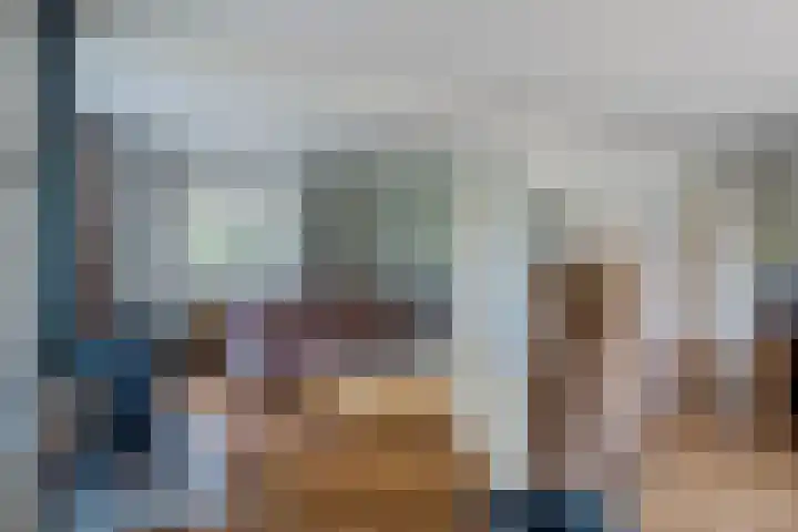 de Braambrink 7 Paasloo thumbnail 7