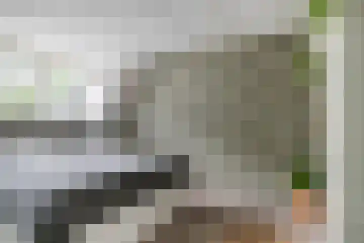de Brabant 14 Hellevoetsluis thumbnail 21