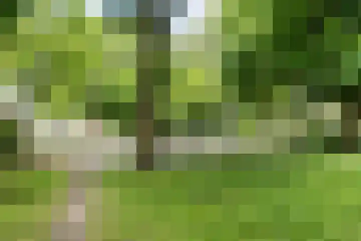 de Brabant 14 Hellevoetsluis thumbnail 41