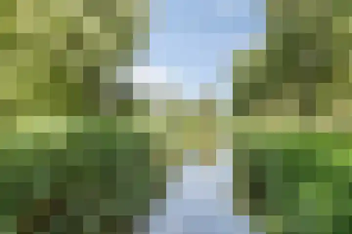de Brabant 14 Hellevoetsluis thumbnail 42