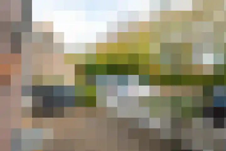de Brabant 9 Hellevoetsluis thumbnail 34