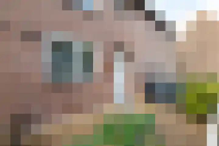 de Brabant 9 Hellevoetsluis thumbnail 36