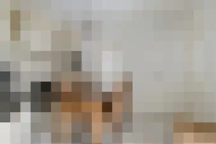 de Braken 21 Reusel thumbnail 14