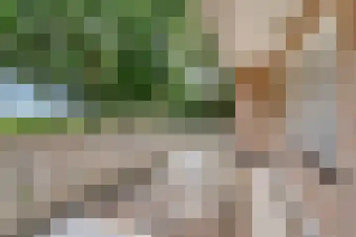 de Braken 21 Reusel thumbnail 27