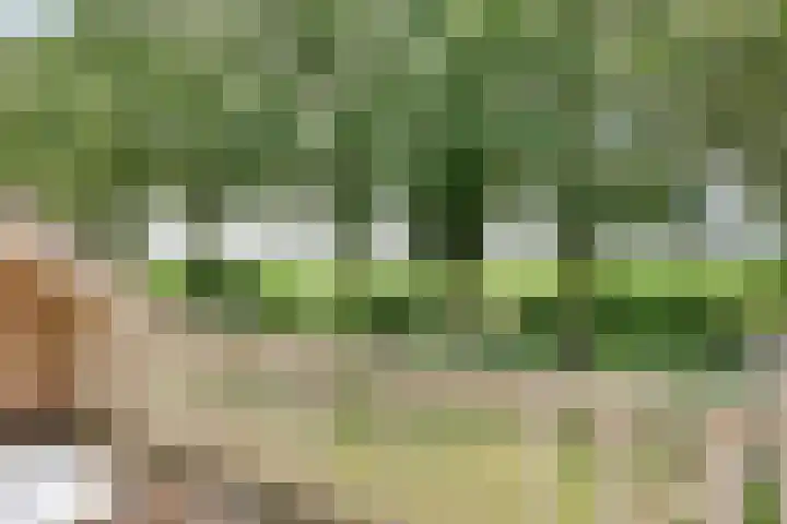 de Braken 21 Reusel thumbnail 28