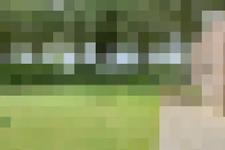 de Braken 21 Reusel thumbnail 35