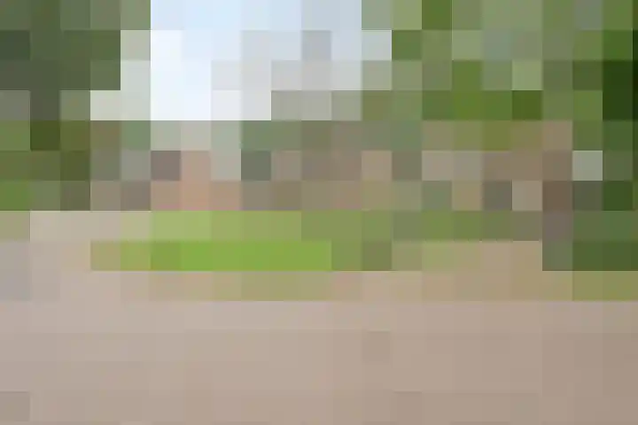 de Braken 21 Reusel thumbnail 38