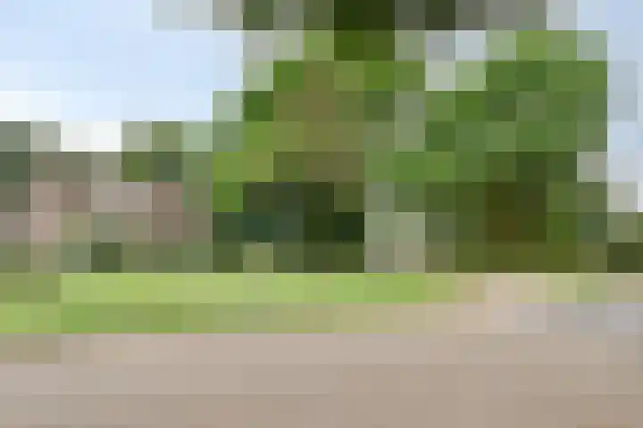 de Braken 21 Reusel thumbnail 39