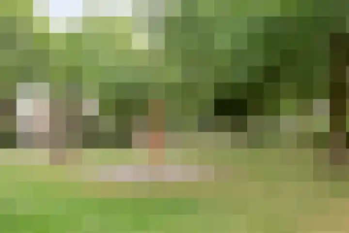 de Braken 21 Reusel thumbnail 41