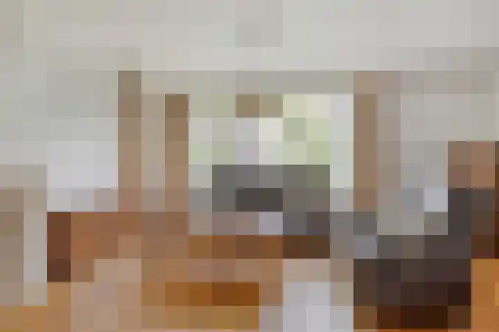 de Braken 21 Reusel thumbnail 5