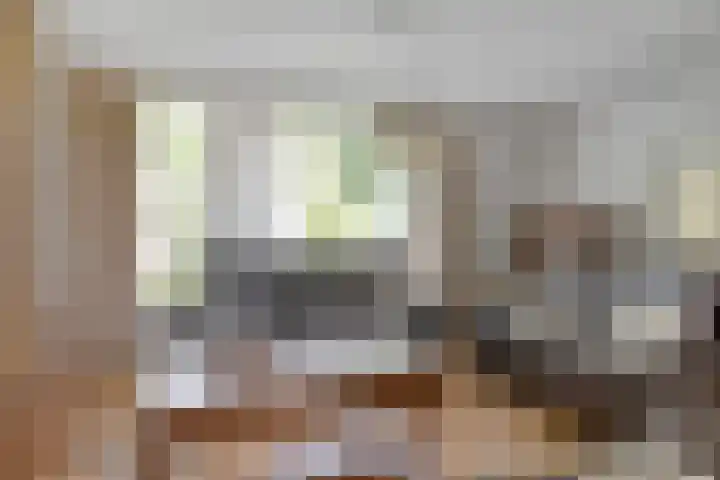 de Braken 21 Reusel thumbnail 6