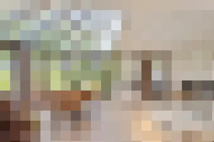 de Brand 4 Rucphen thumbnail 13