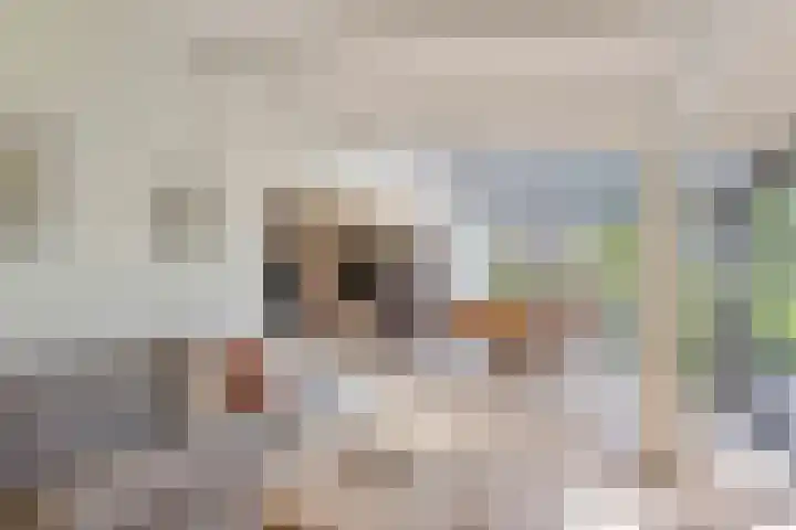 de Brand 4 Rucphen thumbnail 14
