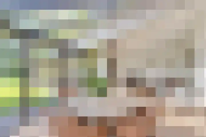 de Brand 4 Rucphen thumbnail 15