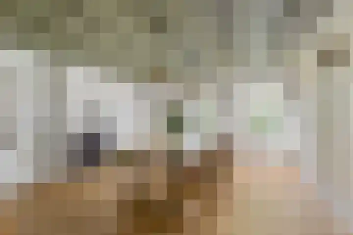 de Brand 4 Rucphen thumbnail 19