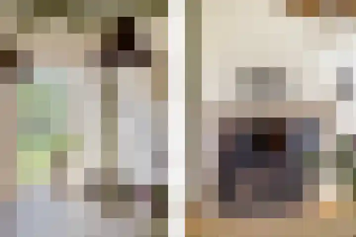 de Brand 4 Rucphen thumbnail 22