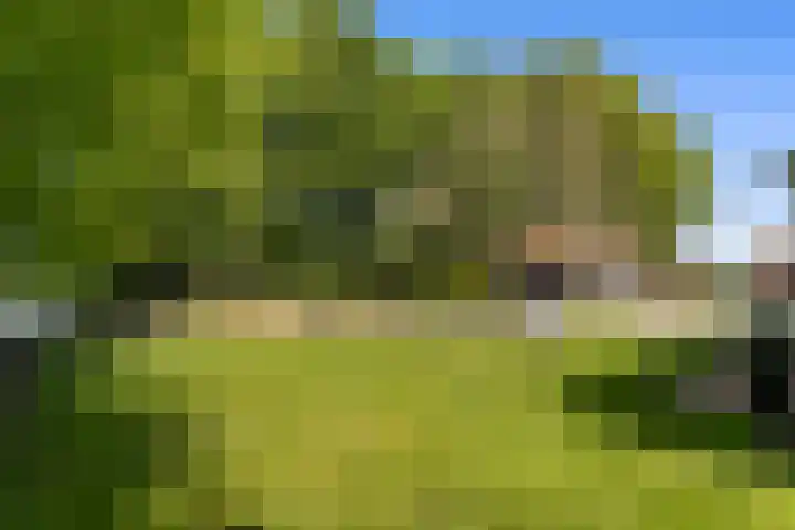 de Brand 4 Rucphen thumbnail 40