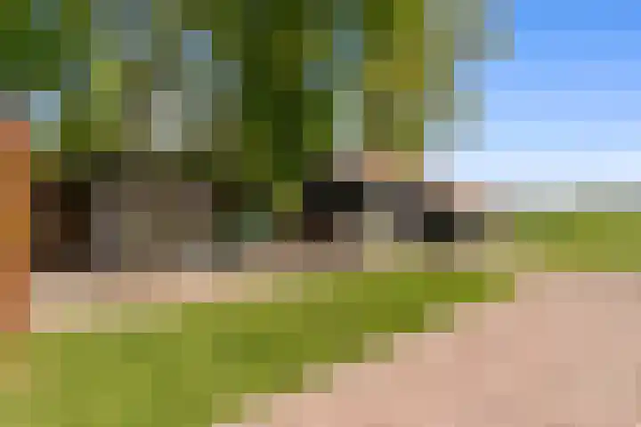 de Brand 4 Rucphen thumbnail 44