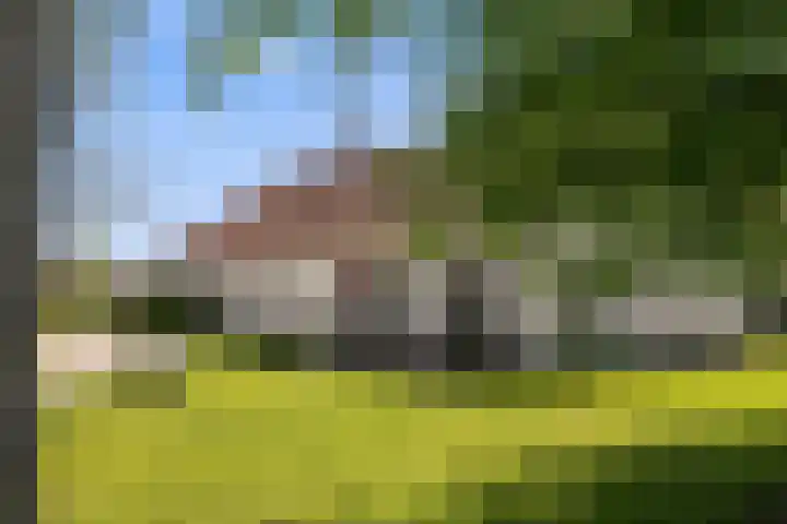 de Brand 4 Rucphen thumbnail 46