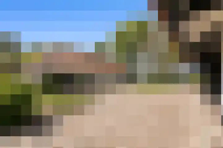 de Brand 4 Rucphen thumbnail 49