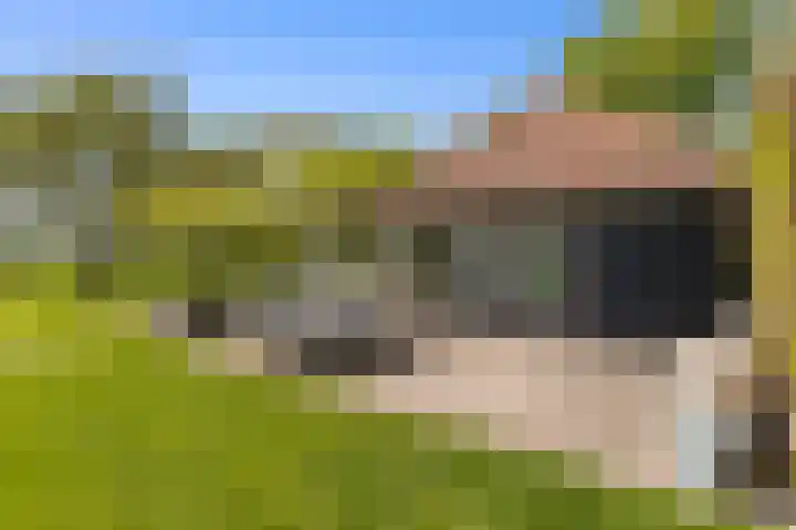 de Brand 4 Rucphen thumbnail 50