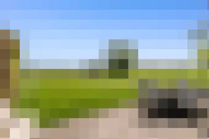 de Brand 4 Rucphen thumbnail 52