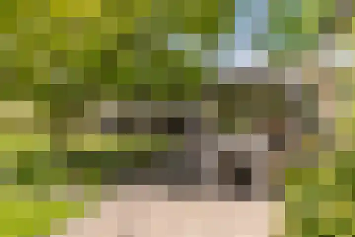 de Brand 4 Rucphen thumbnail 54