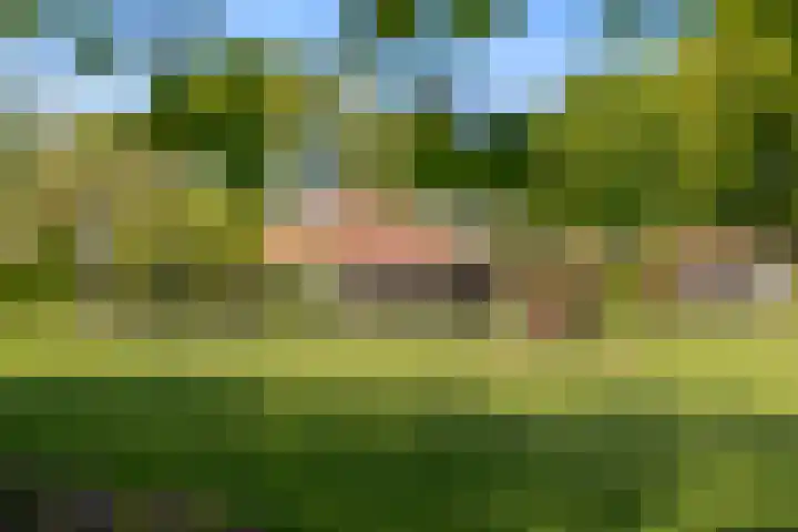 de Brand 4 Rucphen thumbnail 55