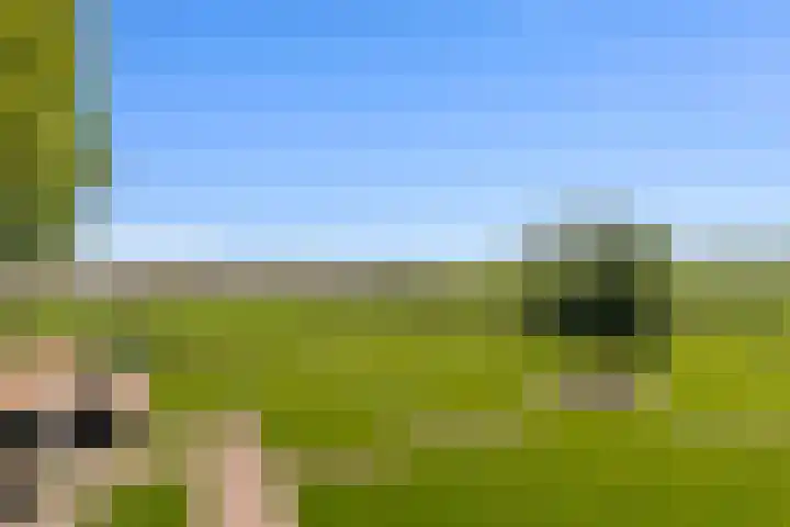 de Brand 4 Rucphen thumbnail 59
