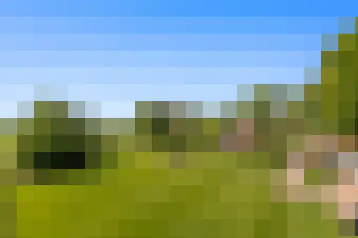 de Brand 4 Rucphen thumbnail 60