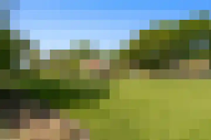 de Brand 4 Rucphen thumbnail 61