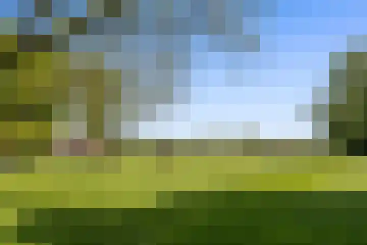 de Brand 4 Rucphen thumbnail 64