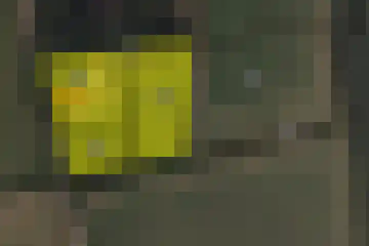 de Brand 4 Rucphen thumbnail 65
