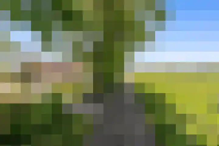 de Brand 4 Rucphen thumbnail 71