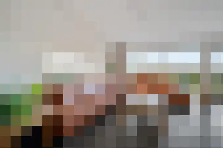De Breeakker 1 Sellingen thumbnail 15