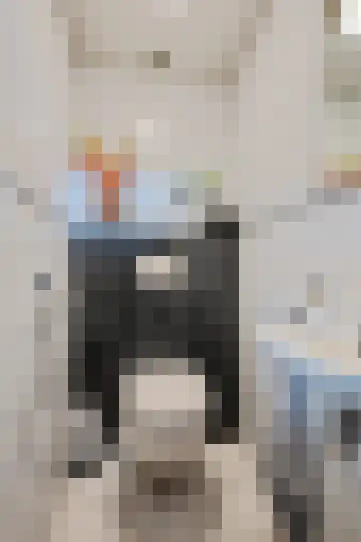 De Breeakker 1 Sellingen thumbnail 47