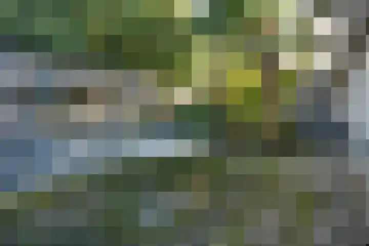 De Breeakker 1 Sellingen thumbnail 48