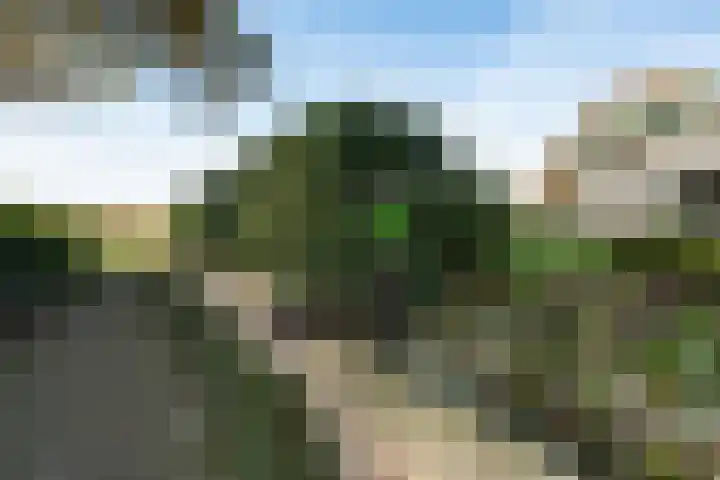 De Breeakker 1 Sellingen thumbnail 5