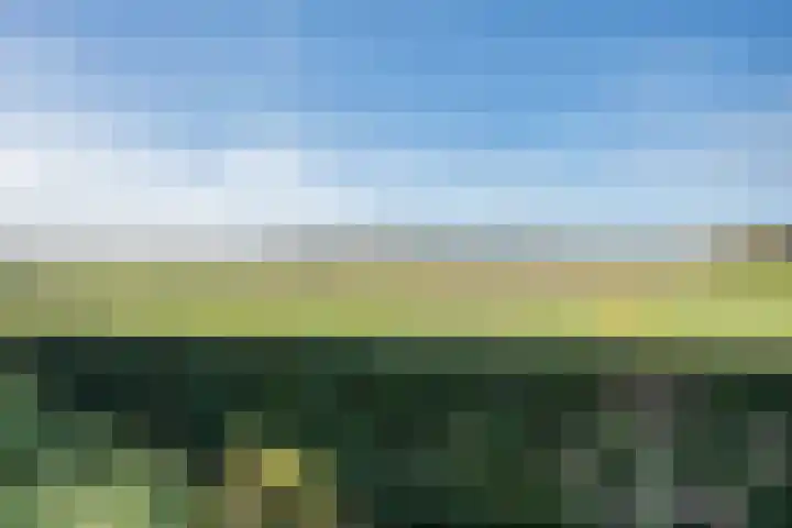 De Breeakker 1 Sellingen thumbnail 54