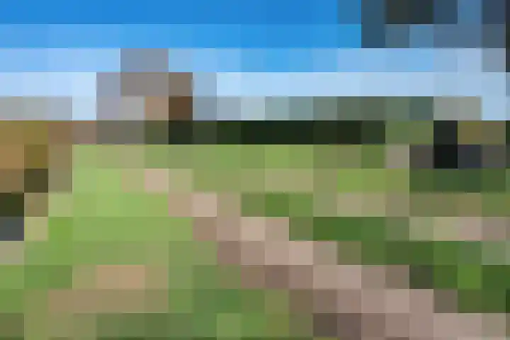 De Breeakker 1 Sellingen thumbnail 7