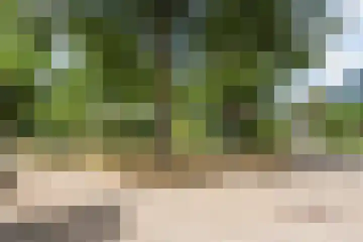 De Brem 13 Malden thumbnail 31