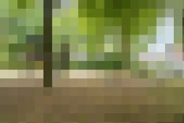 De Brem 13 Malden thumbnail 32